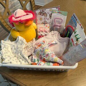 Baby Girl Shower Gift Basket
